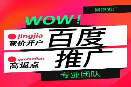 百度竞价广告投放的ROI优化：经典案例分享